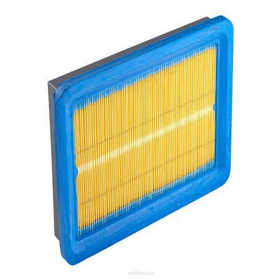Air Filter (RY-A365)