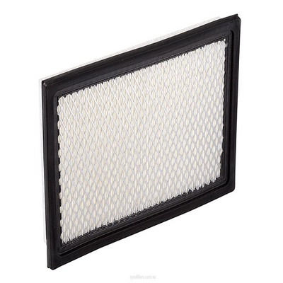 Air Filter (RY-A431)