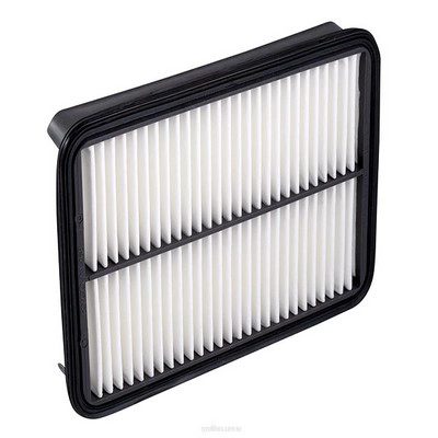 Air Filter (RY-A1268)