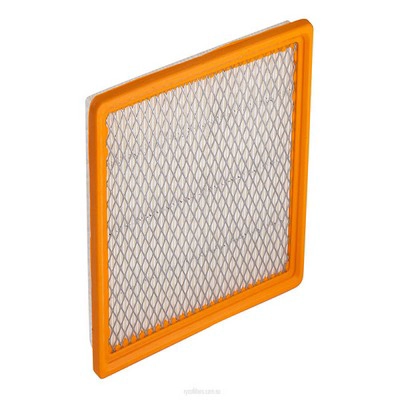 Air Filter (RY-A1616)