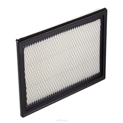 Air Filter (RY-A360)