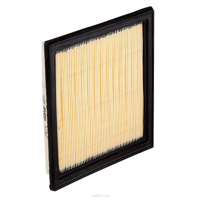 Air Filter (RY-A1761)