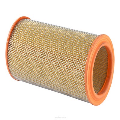 Air Filter (RY-A1699)