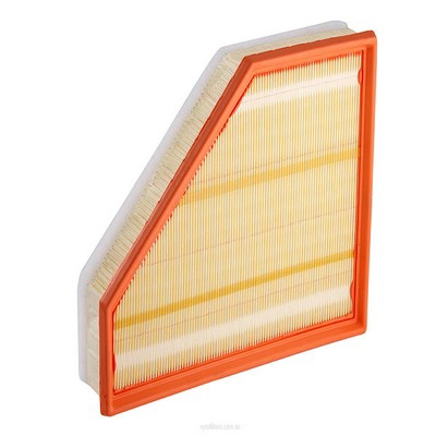 Air Filter (RY-A1756)