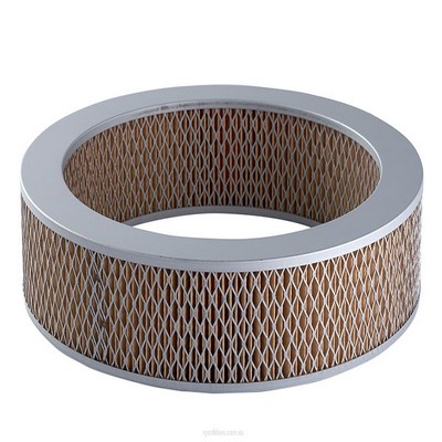 Air Filter (RY-A359)