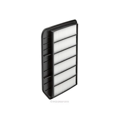 Air Filter (RY-A1948)