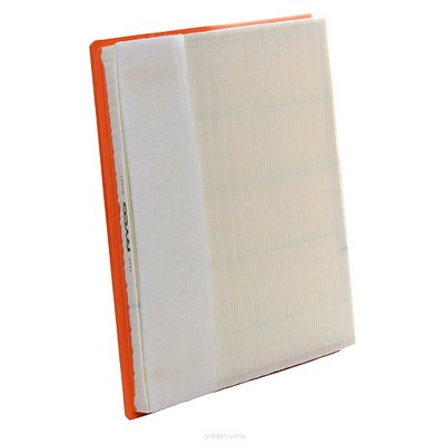 Air Filter (RY-A1831)
