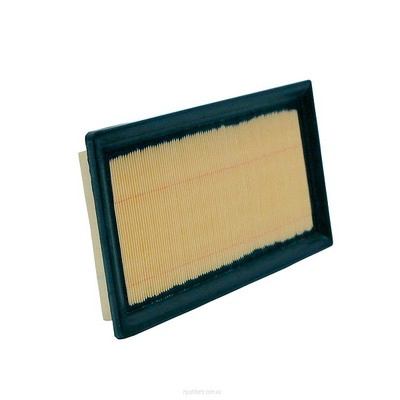 Air Filter (RY-A1822)