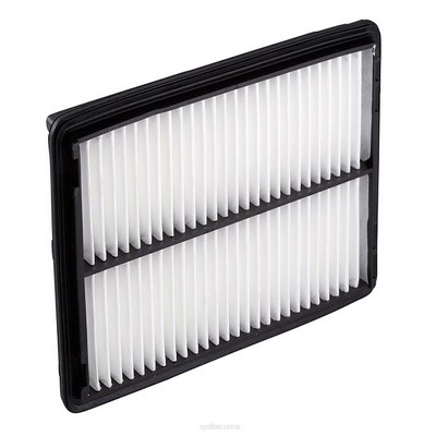 Air Filter (RY-A1423)