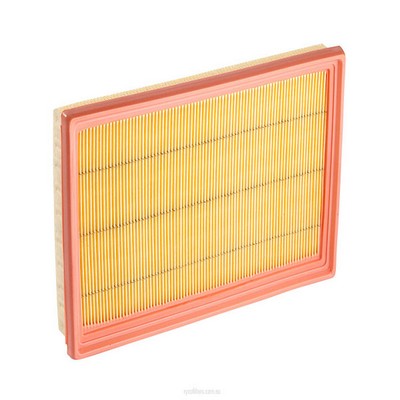 Air Filter (RY-A1362)
