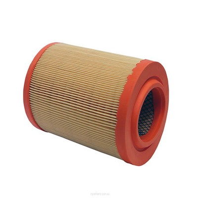 Air Filter (RY-A1840)