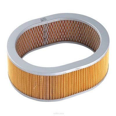 Air Filter (RY-A349)