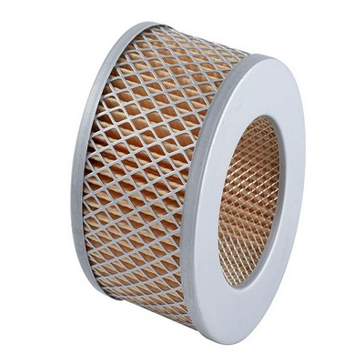 Air Filter (RY-A22)
