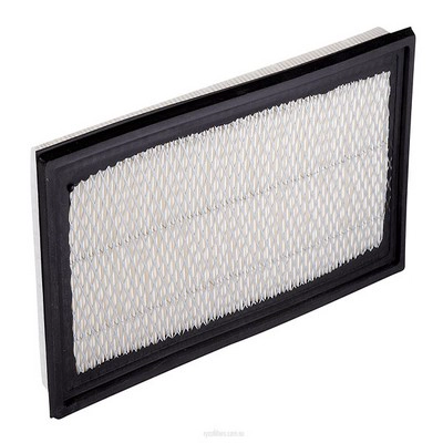 Air Filter (RY-A1331)