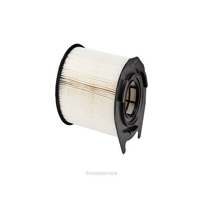 Air Filter (RY-A1941)