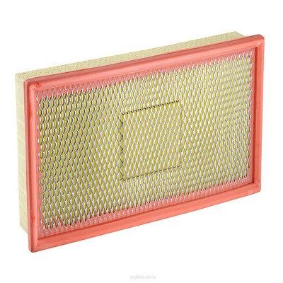 Air Filter (RY-A1288)