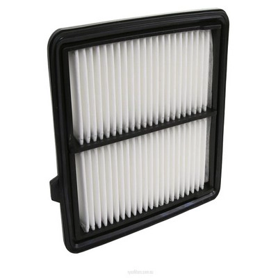 Air Filter (RY-A1765)