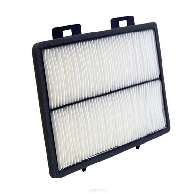 Filter, cabin air (RY-RCA313P)