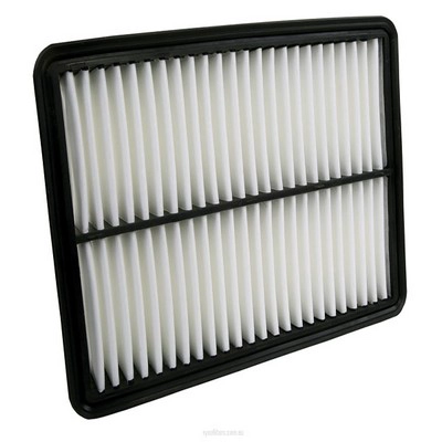 Air Filter (RY-A1785)