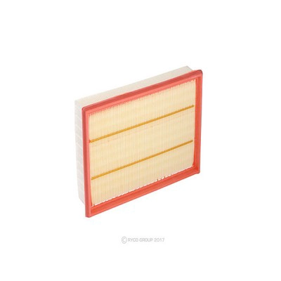 Air Filter (RY-A1598)