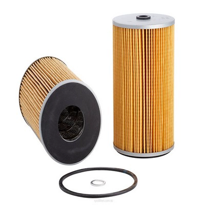 Oil Filter (RY-R2419P)