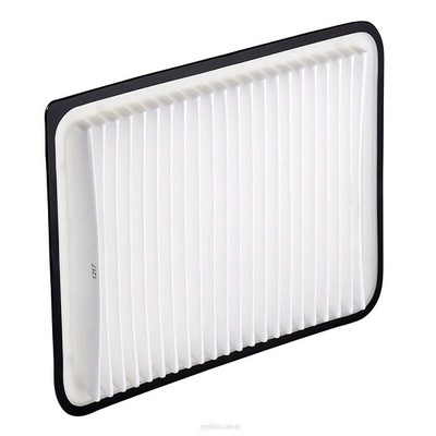 Air Filter (RY-A1524)