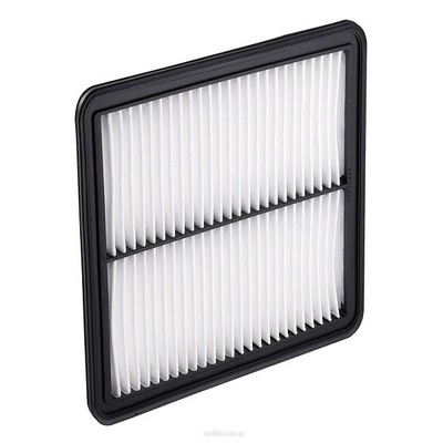 Air Filter (RY-A1519)