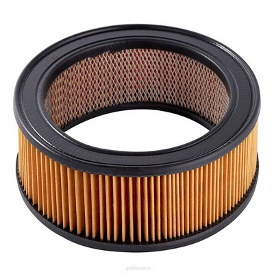 Air Filter (RY-A117X)