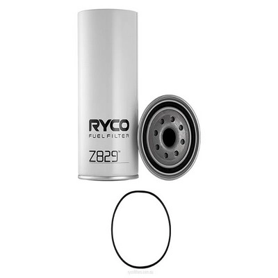 Fuel Filter (RY-Z829)
