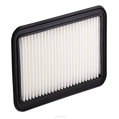 Air Filter (RY-A1629)