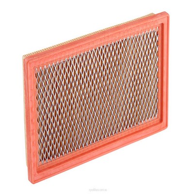 Air Filter (RY-A1591)