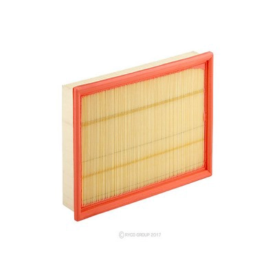 Air Filter (RY-A1896)