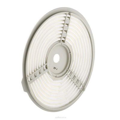 Air Filter (RY-A1241)