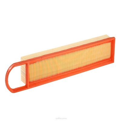 Air Filter (RY-A1750)
