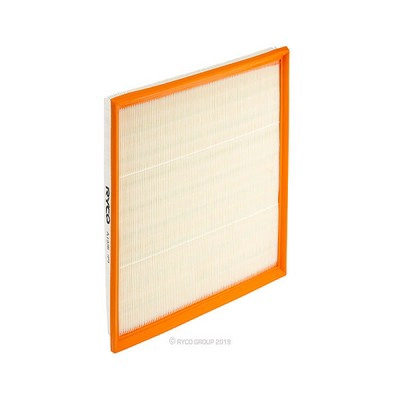 Air Filter (RY-A1936)
