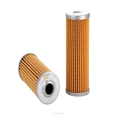 Fuel Filter (RY-R2447P)