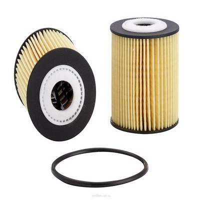 Oil Filter (RY-R2663P)