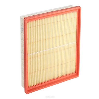 Air Filter (RY-A1701)