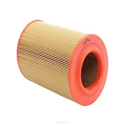 Air Filter (RY-A1456)