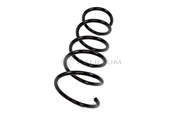 Suspension Spring (PAL10-0004)
