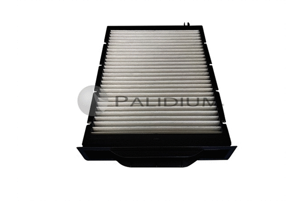 Filter, cabin air (PAL2-4051)