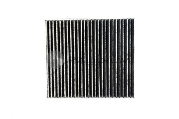 Filter, cabin air (PAL2-4353)