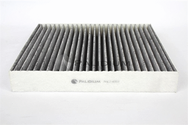 Filter, cabin air (PAL2-4351)