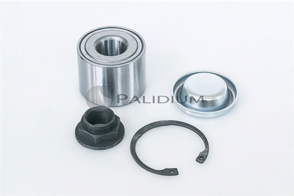 Wheel Bearing Kit (PAL6-1016)