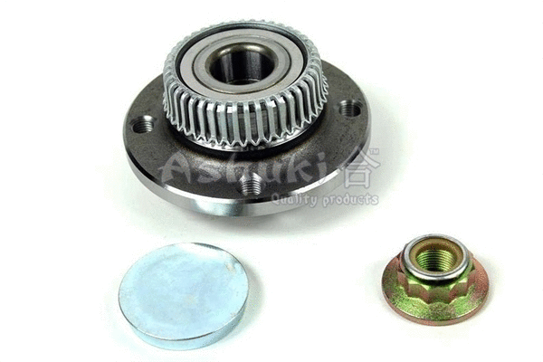Wheel Bearing Kit (PAL6-2019)