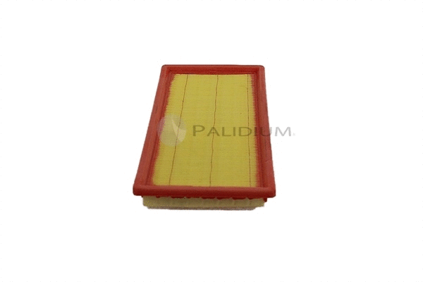 Air Filter (PAL2-2525)