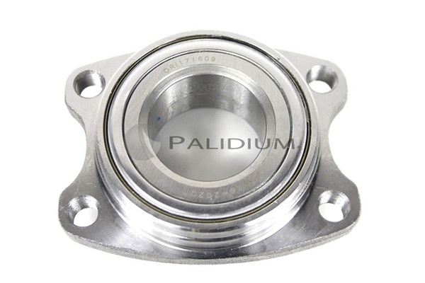 Wheel Bearing Kit (PAL6-2020)