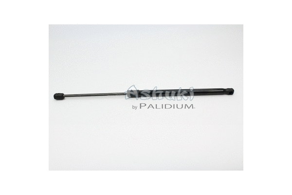 Gas Spring, boot/cargo area (ASH21-0005)