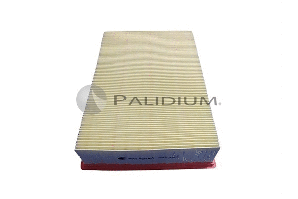Air Filter (PAL2-2063)