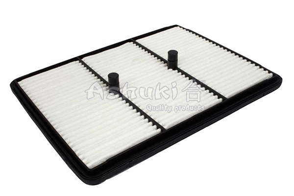 Air Filter (I015-36)